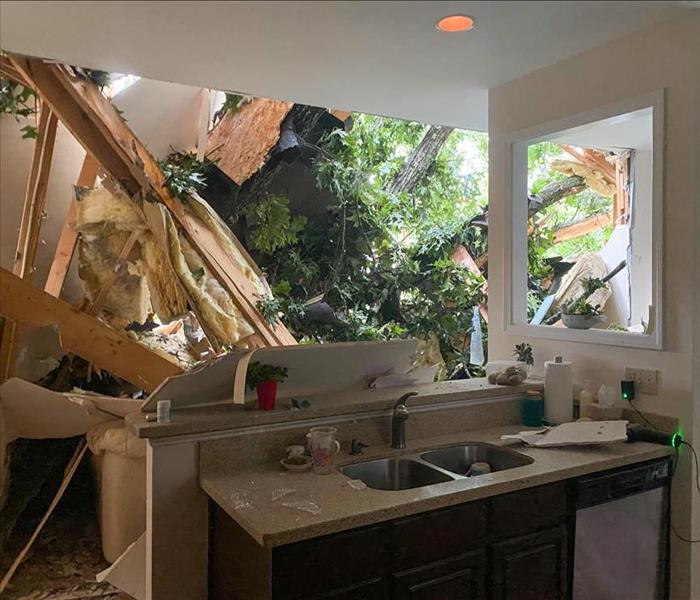 Tree branch fell through the roof of a home in Dunwoody, GA.