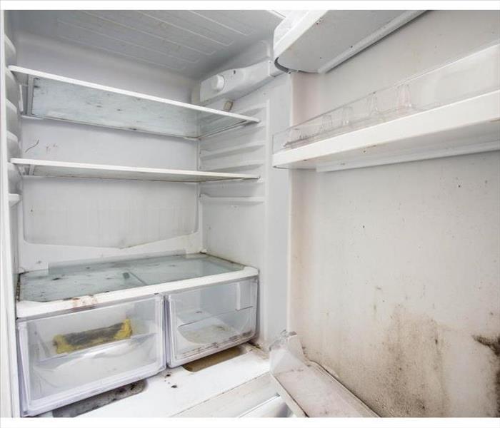 Inside of an empty refrigerator, dirty, mold growth